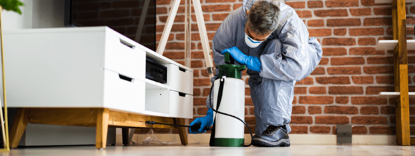 pest control technician spraying