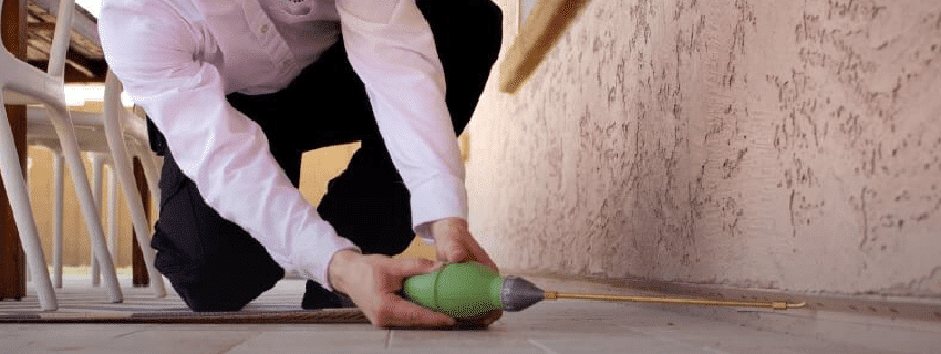 exterior pest control
