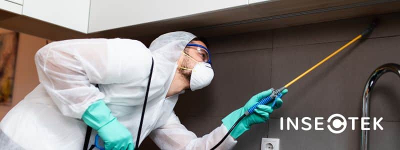 Pest removal