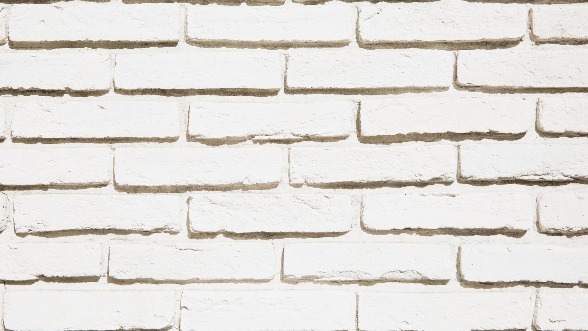 What Are the Long-Term Effects of a Termite Infestation?